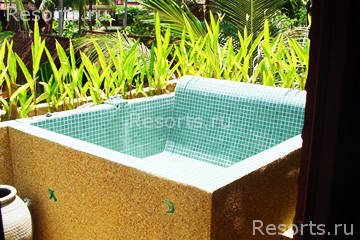 Coconut Paradise 4